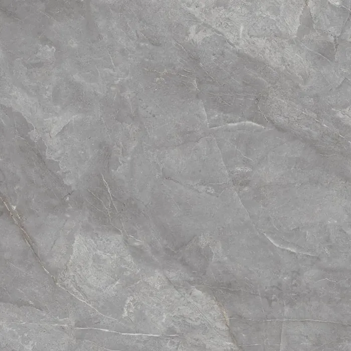 Orobico Grey Polished 120x120